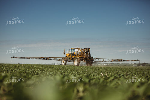 Spraying Soybeans 4394