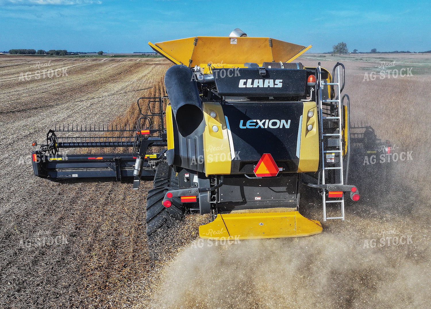 Soybean Harvest 141449