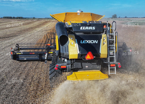 Soybean Harvest 141449