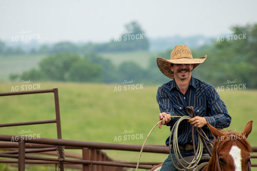 Rancher Roping Cattle 214171