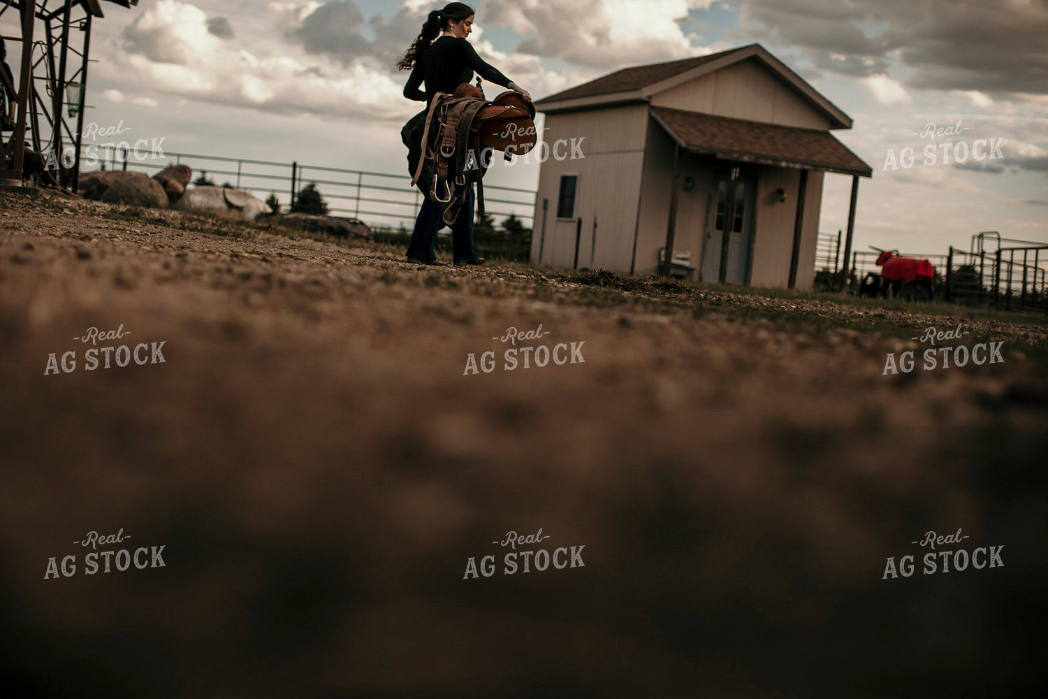 Feedyard 3051