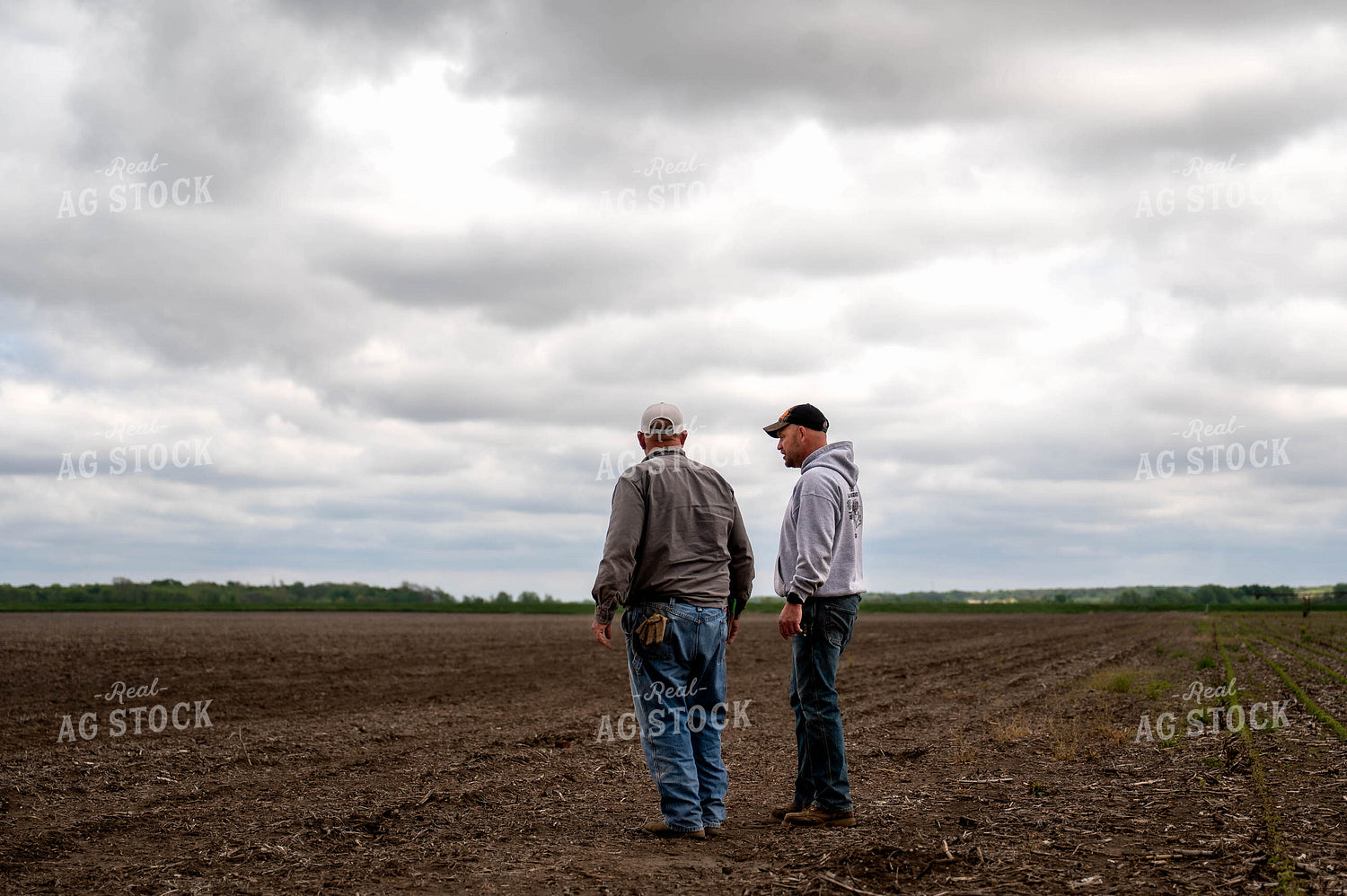 Farmers Talking in Field 115771