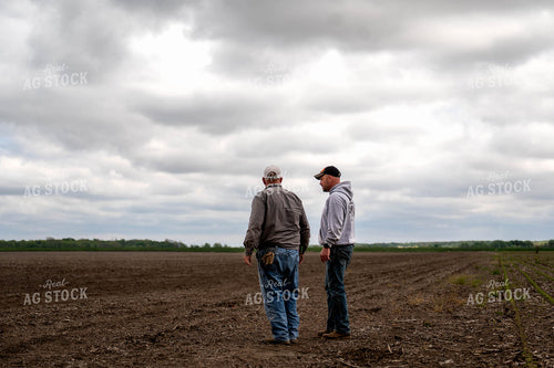 Farmers Talking in Field 115771