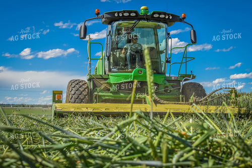 Wheat Hay Harvest 56132
