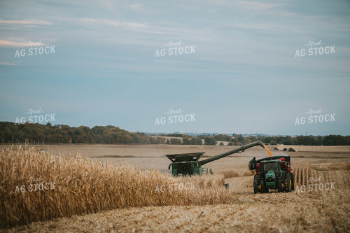 Combine Unloading Corn into Grain Cart 6935