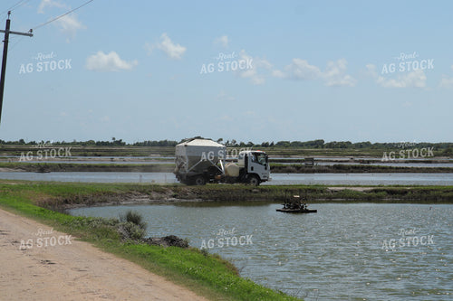 Shrimp Ponds 102177
