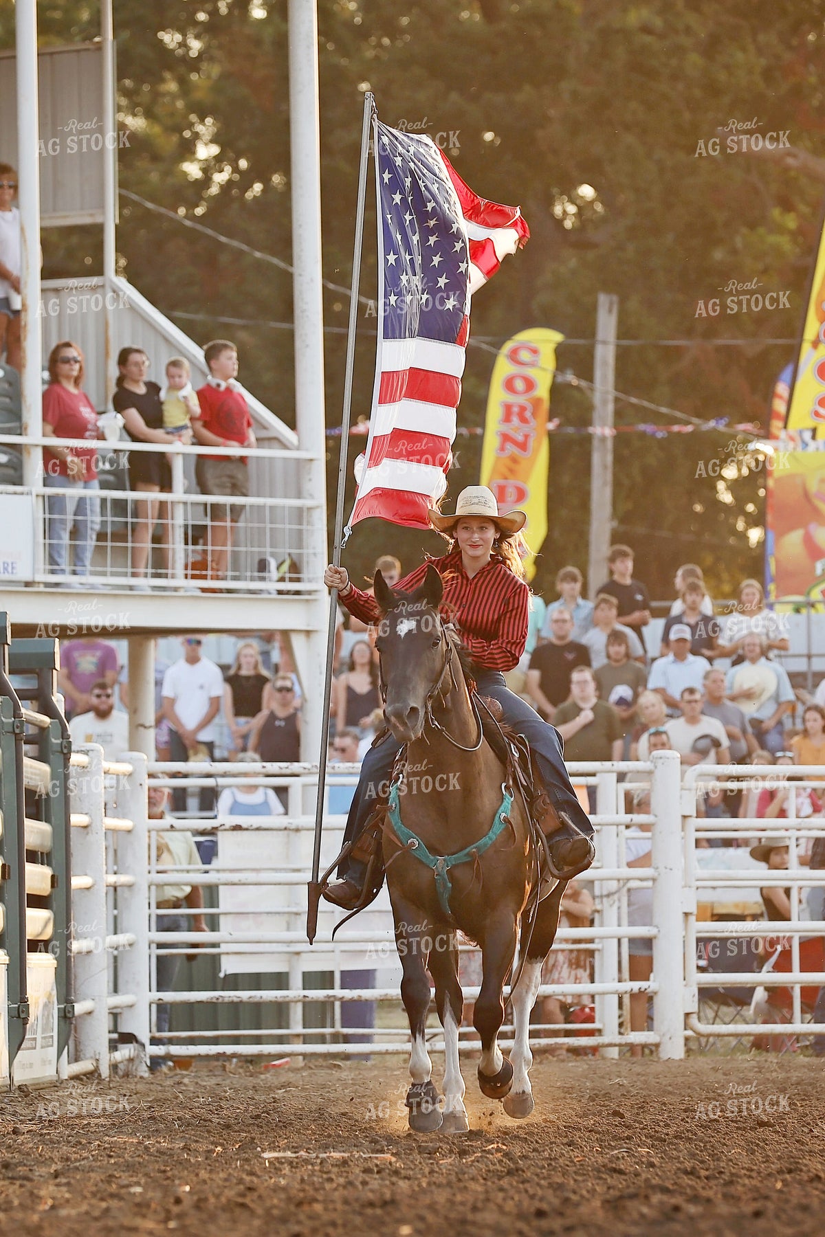Rodeo 127118
