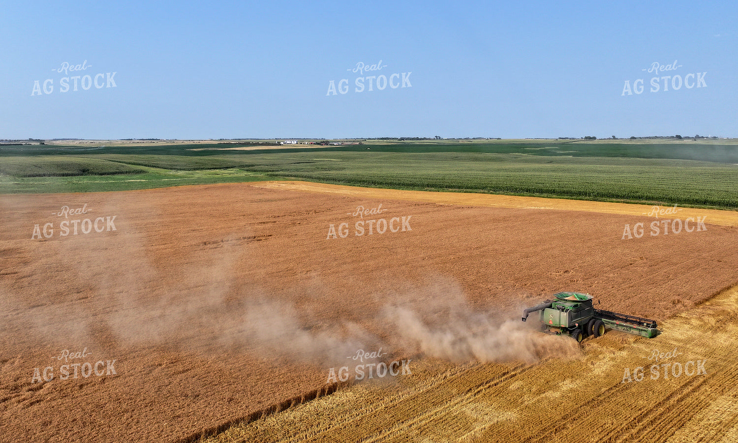 Wheat Harvest 141164