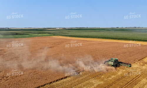Wheat Harvest 141164