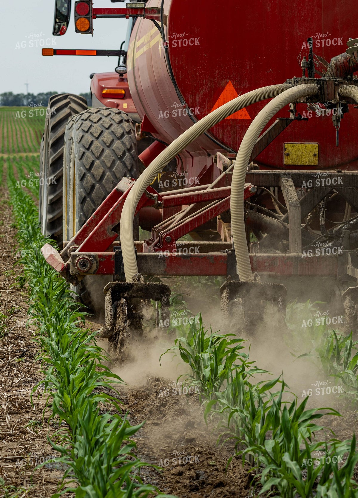 Liquid Manure Injection into Young Corn Field 409009