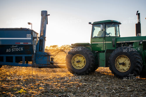 Tractor Pulling Grain Cart Through Cornfield at Sunset 50043