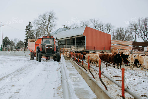 Tractor and feed mixer in Farmyard 77146