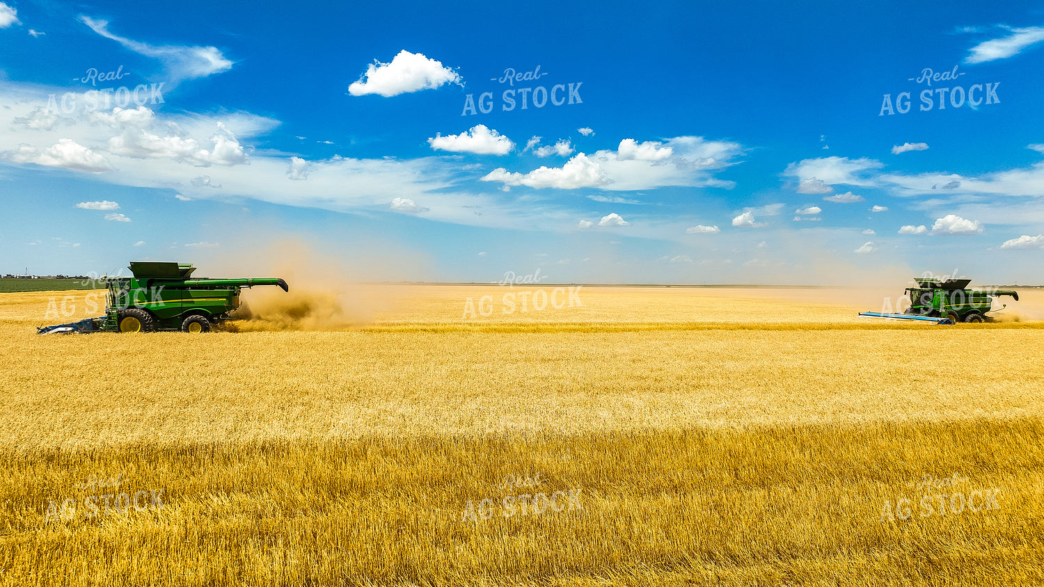 Wheat Harvest 199038