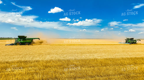 Wheat Harvest 199038