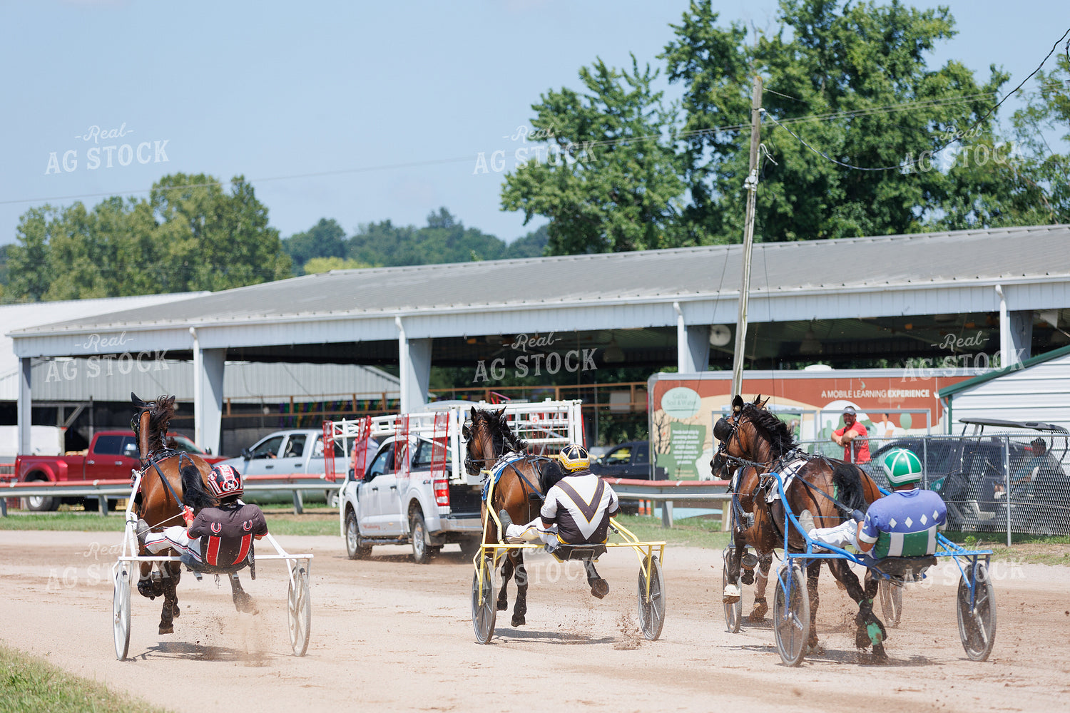 Harness Racing 52929