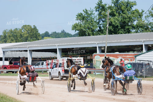 Harness Racing 52929