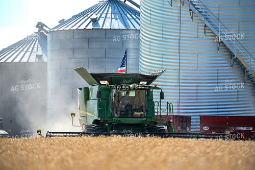 Wheat Harvest 90043