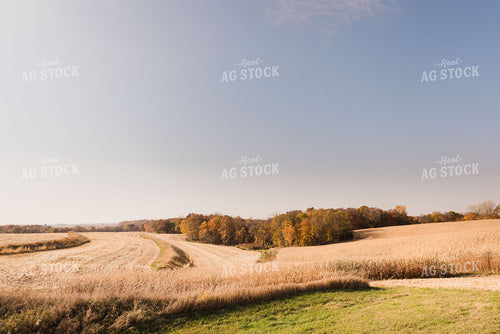 Rural Harvest Scene 9429