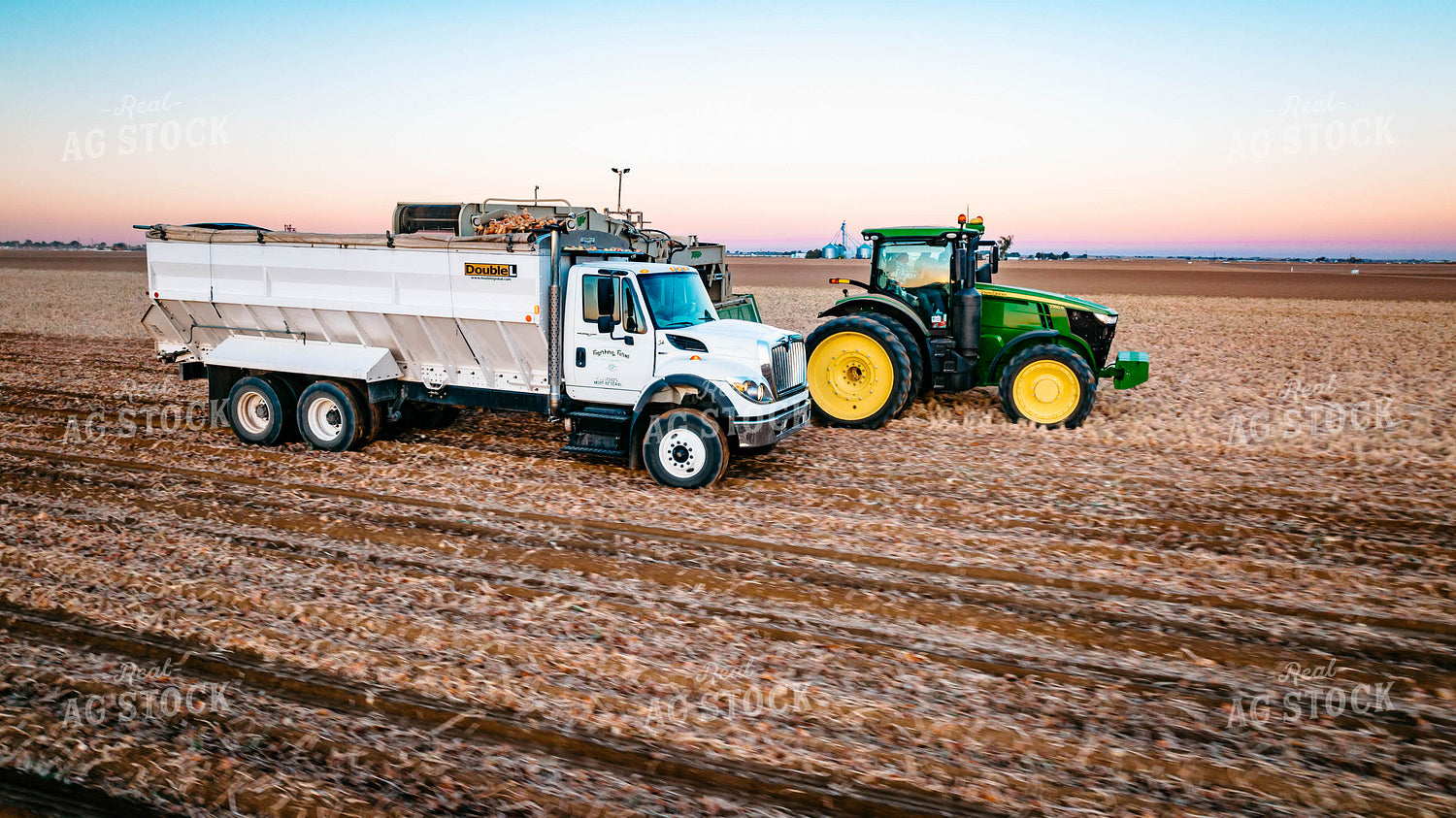 Onion Harvest 56722