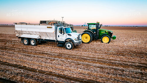 Onion Harvest 56722