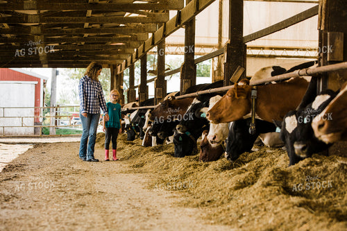 Dairy 2700