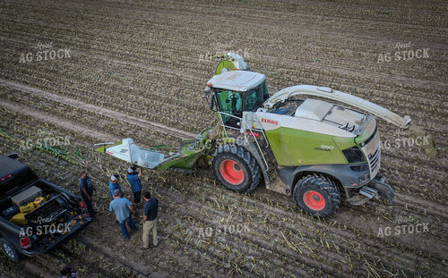 Farmers During Silage Harvest Drone 56208