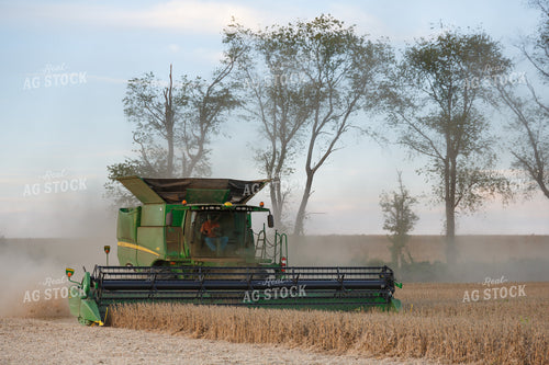 Soybean Harvest 295191