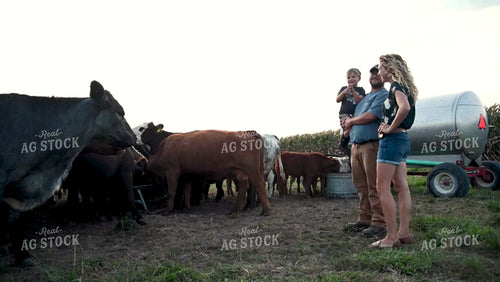 Farm Family in the Cattle Pasture - 386