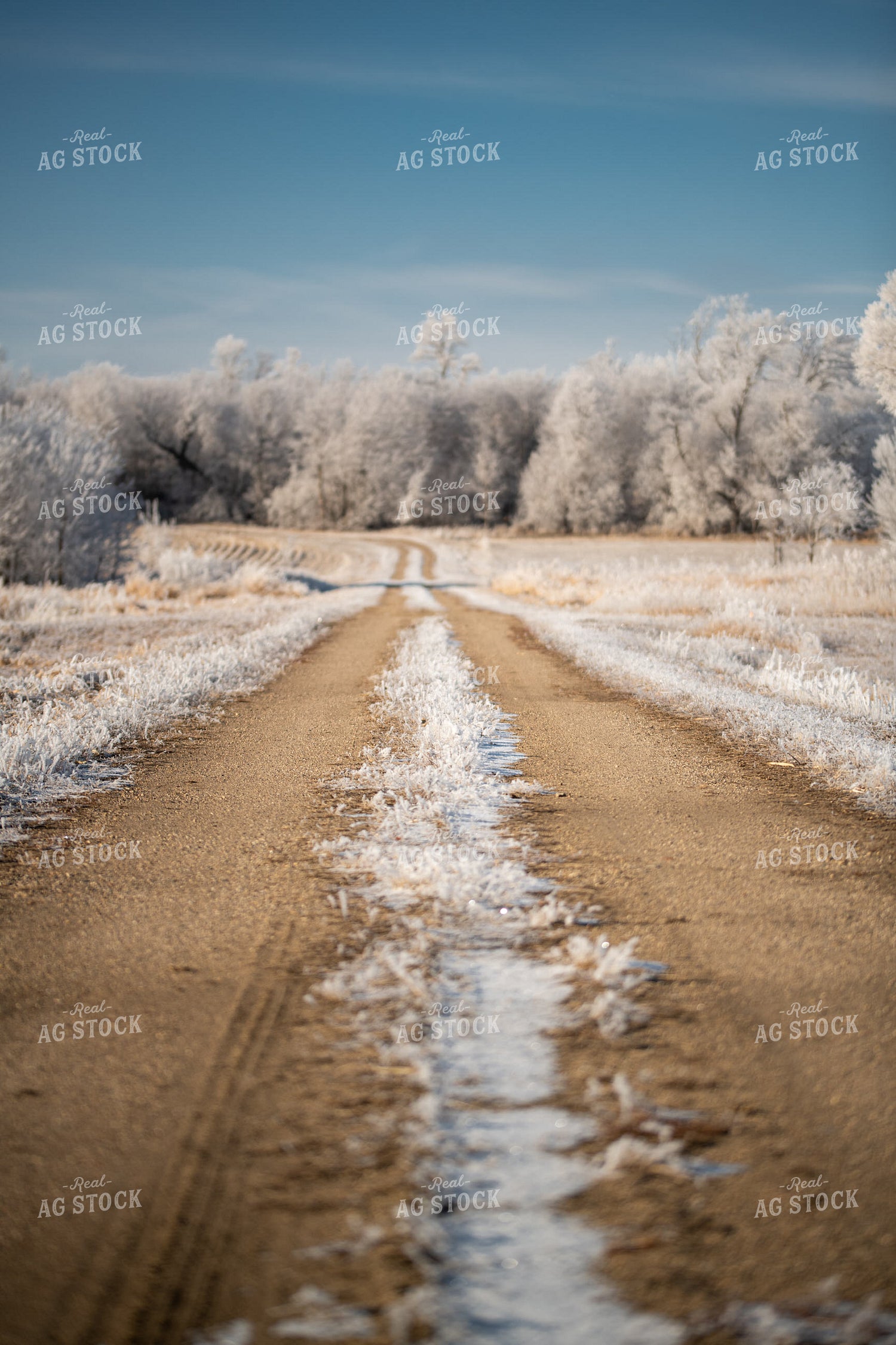 Frosted Dirt Road 76703