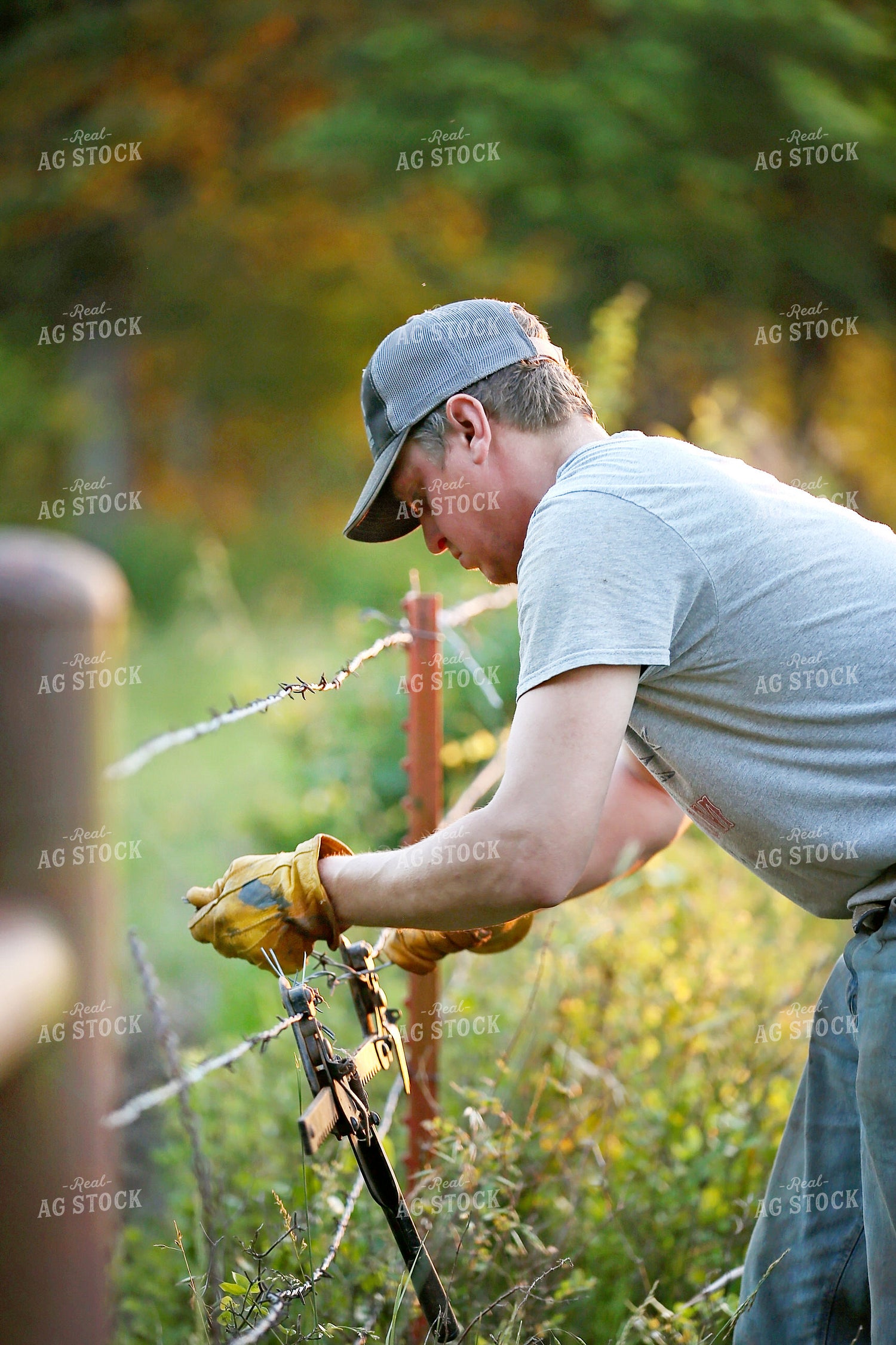 Farmer Trimming Fence 127011