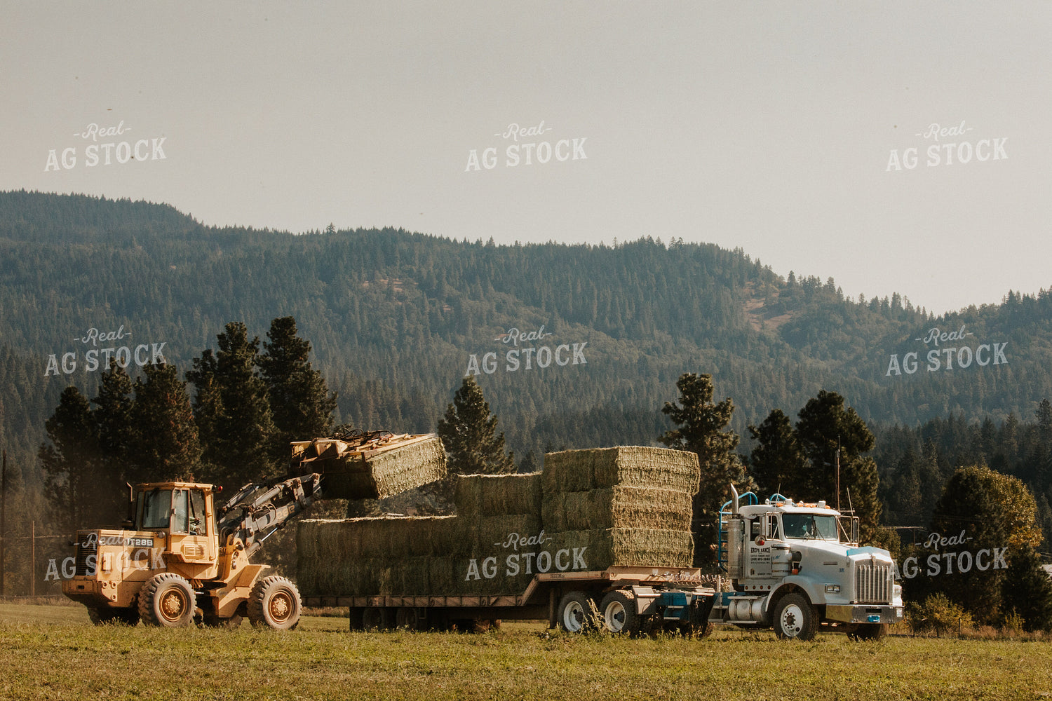 Loading Hay Bales onto Trailer 66095