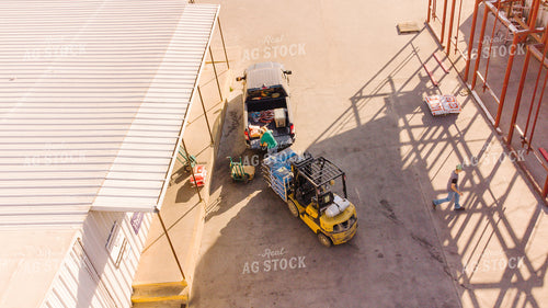 Aerial of Loading Seed 301010