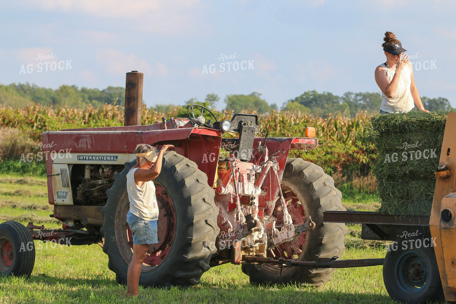 Harvesting Hay 160340