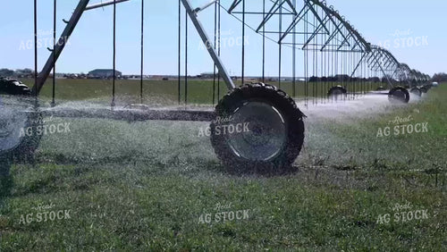 Pivot Irrigation on Wheat 190019