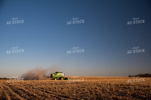Corn Harvest 76710