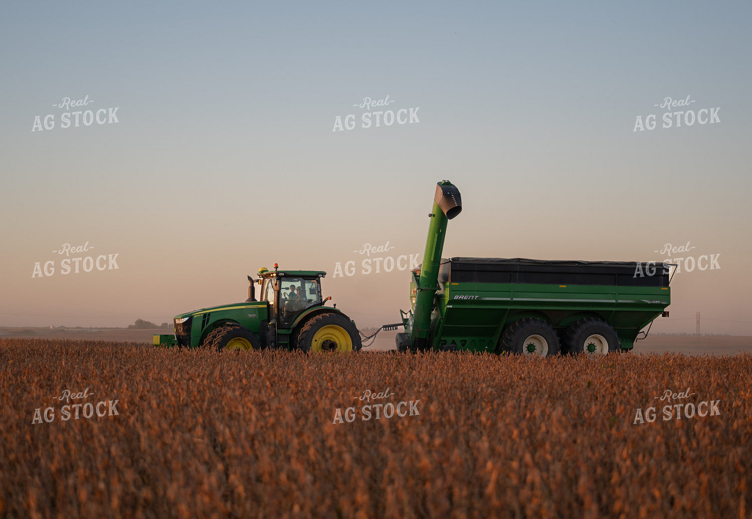 Soybean Harvest 185228