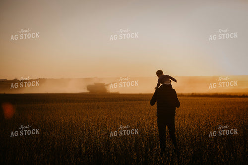 Harvest 2586