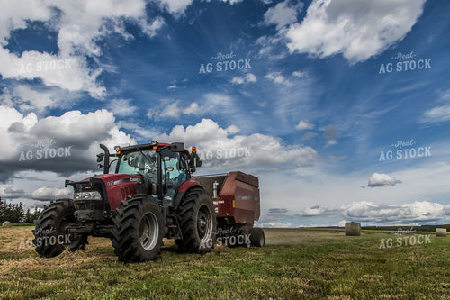 Baling Hay 138113