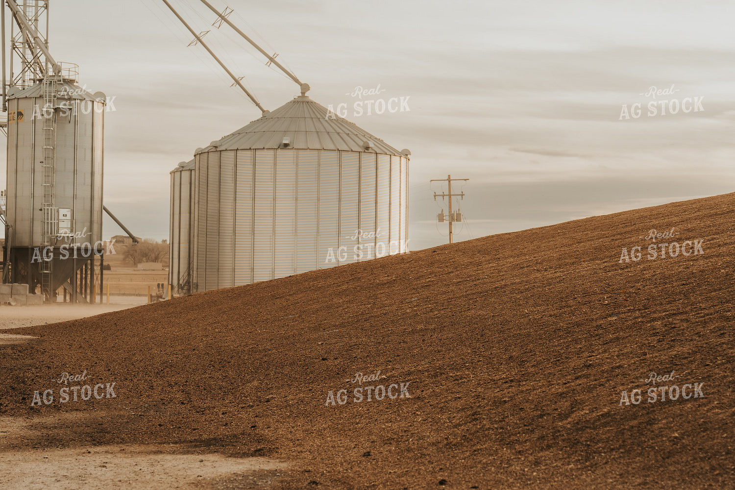 Uncovered Silage Pile 61260