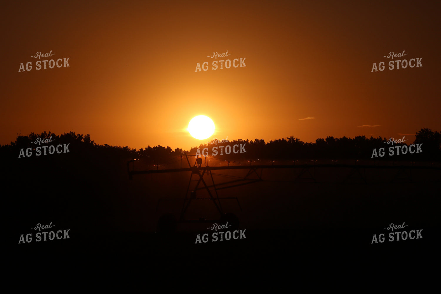 Irrigation System at Sunset 82002