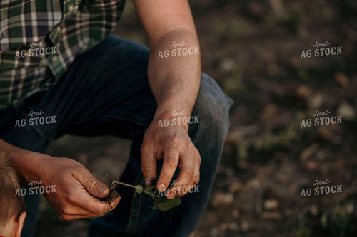 Farmer 2939