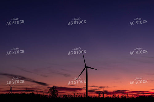 Farmland at Sunset 96027