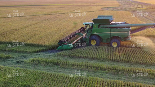 Rice Harvest 79507