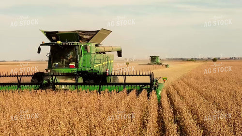 Soybean Harvest 287001