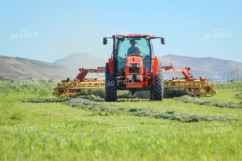 Raking / Windrowing Summer Hay Alfalfa and Mixed Grass 78135
