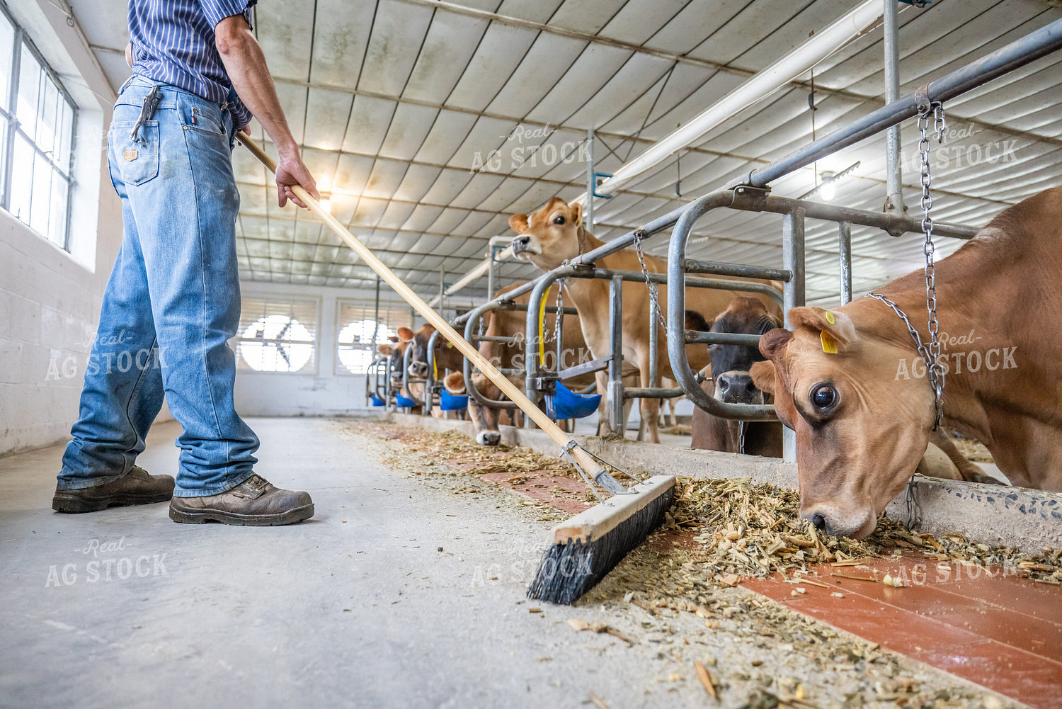 Farmer Sweeping Alley 270449