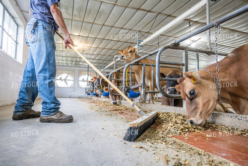 Farmer Sweeping Alley 270449