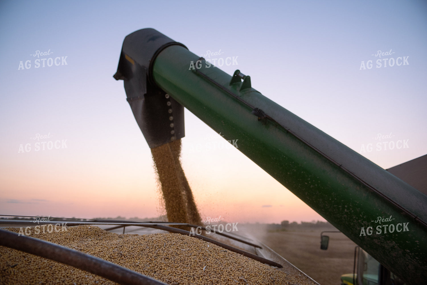 Soybean Harvest 129077