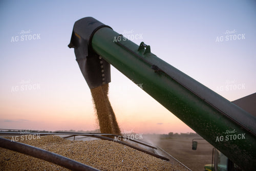 Soybean Harvest 129077