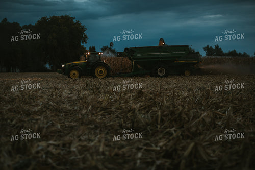 Corn Harvest 6708